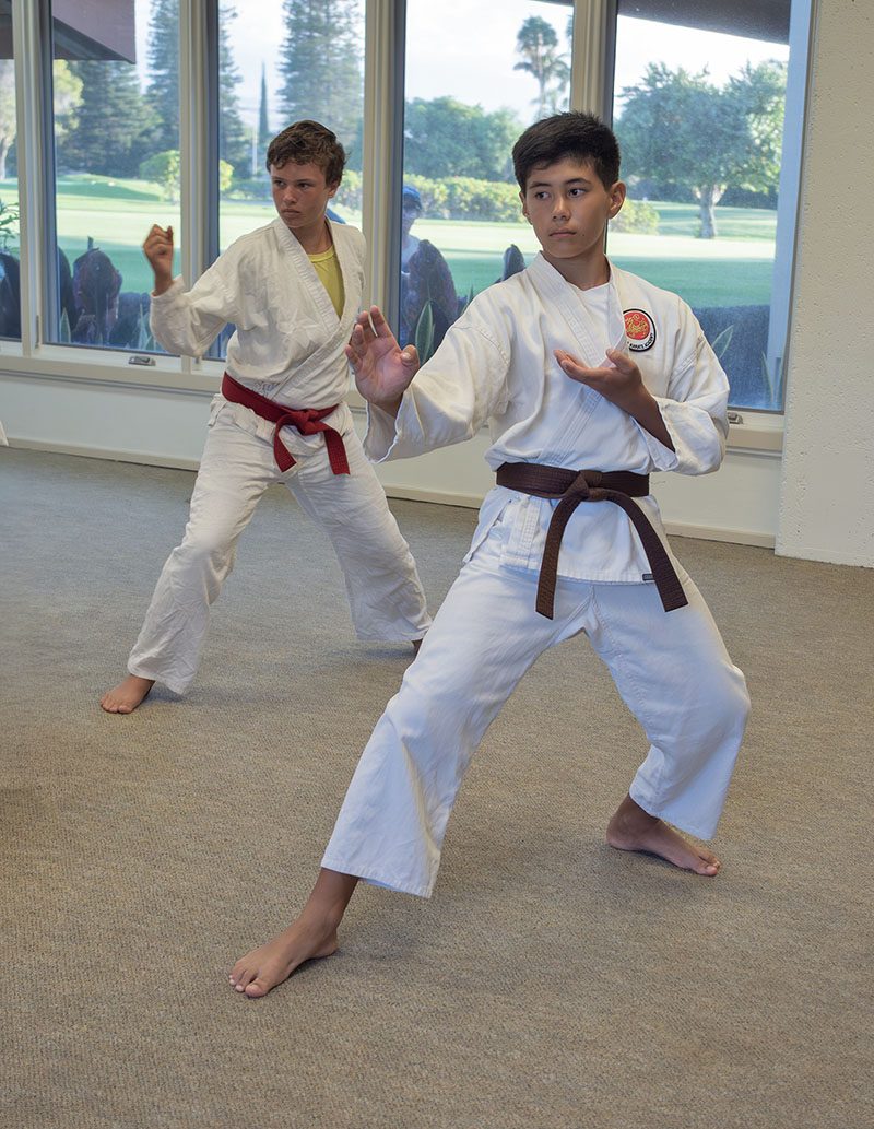 Waikoloa Karate class